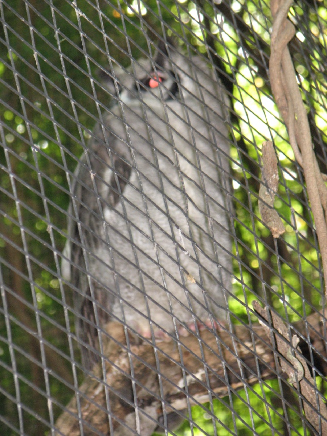 20100206 510.JPG
